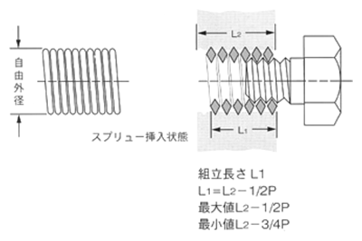 特殊ねじ.com / スプリュー・リン青銅(並目) | エンザート・タングレス